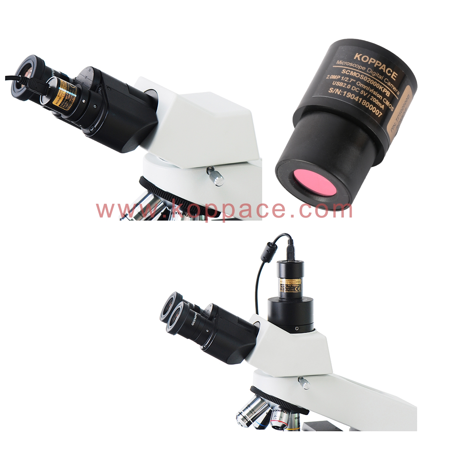 KOPPCE 2 Million Pixel USB 2.0 Microscope Camera 23.2mm to 30mm/30.5mm